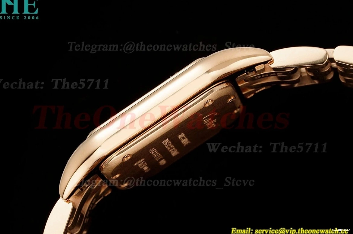 Secrete RG Ladies De RG Quartz Panthere Dial AF 27mm Mop 0123